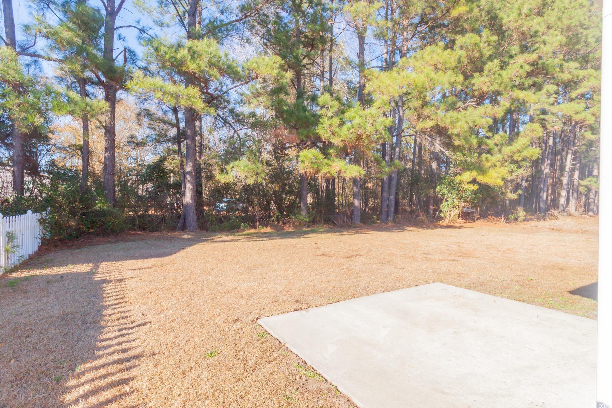 3793 Mayfield Drive Conway, SC 29526 - Photo 17 of 20