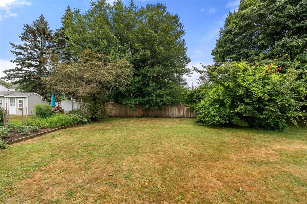 15 Atlantis Street Boston, MA 02132 - Photo 23 of 25 a view of a field with trees in front of it