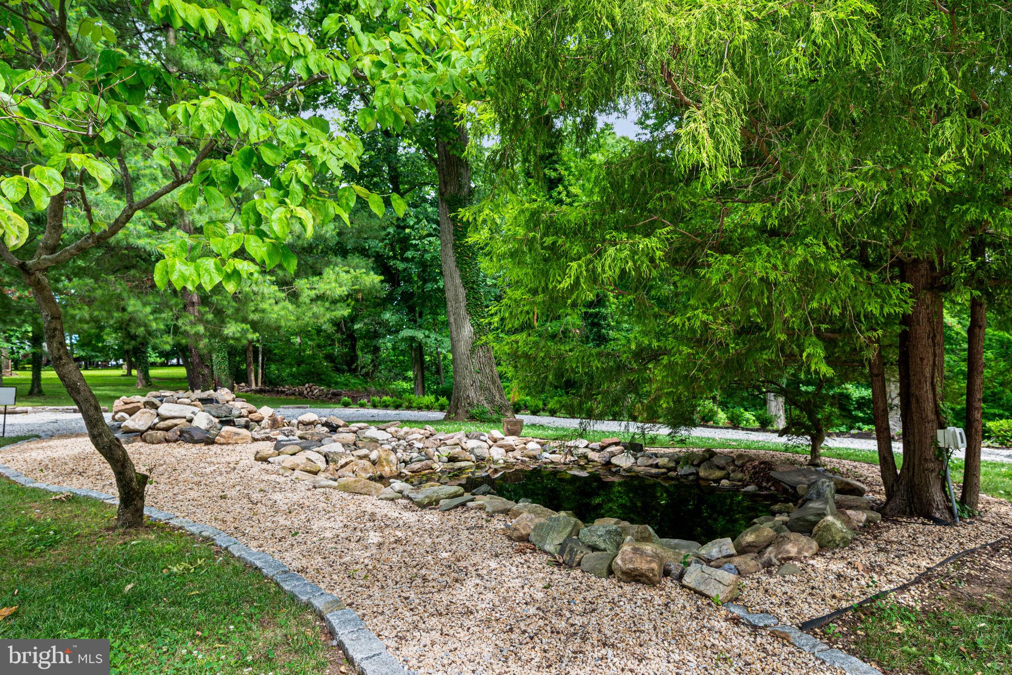1018 Beech Road Wallingford, PA 19086 - Photo 77 of 80 Fish pond