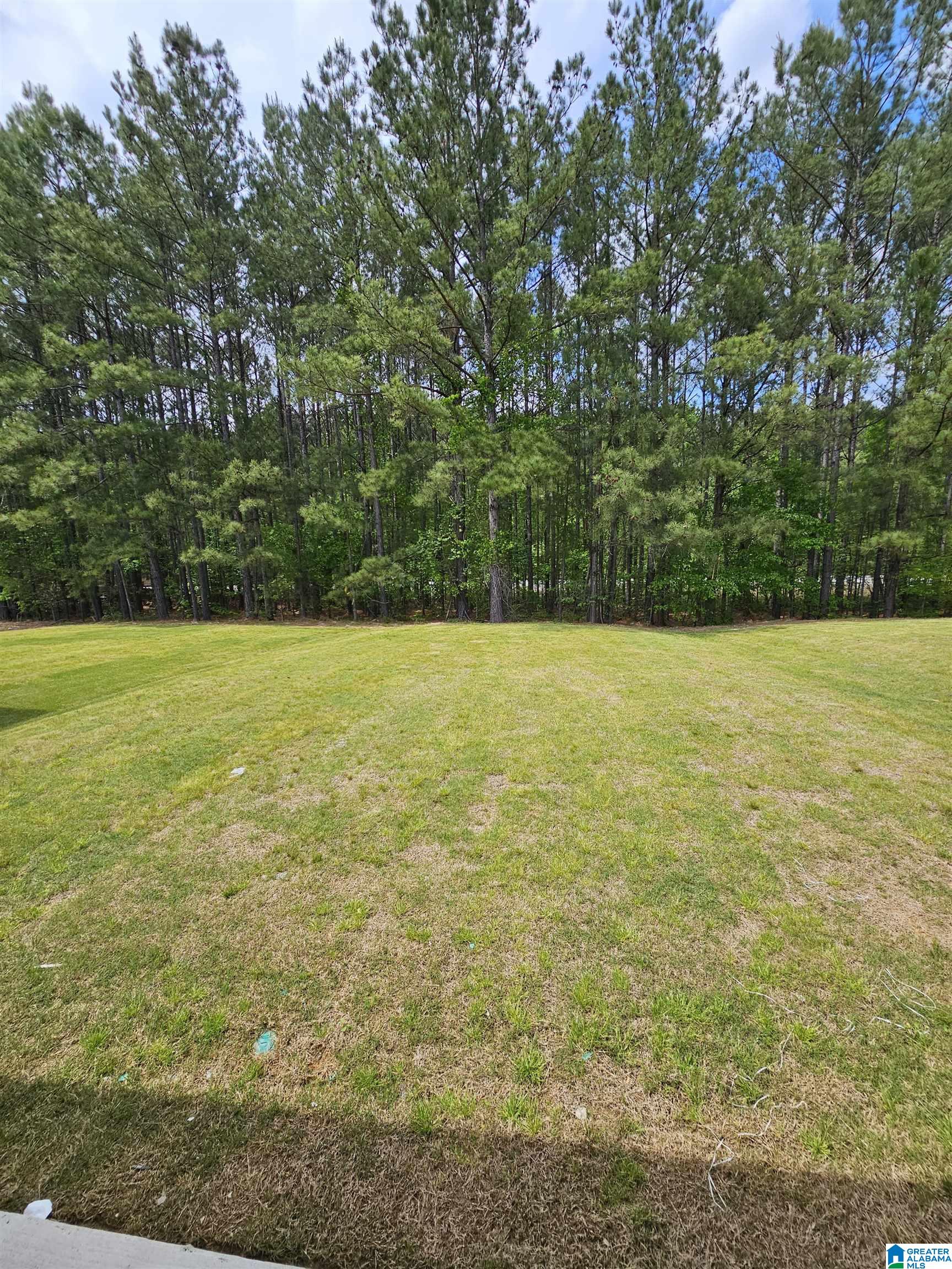2127 Springfield Drive Chelsea, AL 35043 - Photo 12 of 30