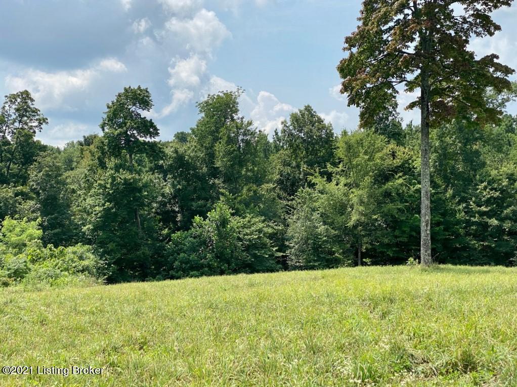 1270 Duvall Road Caneyville, KY 42721 - Photo 42 of 61 1270 Duvall Rd32