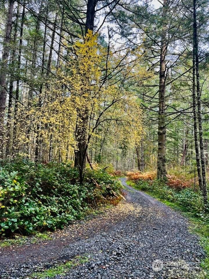 1057 Prohaska Road Friday Harbor, WA 98250 - Photo 15 of 40 Gallery Image 15