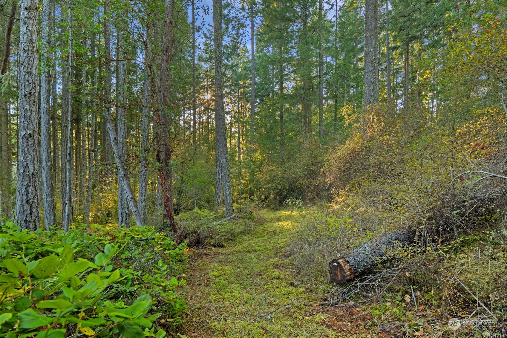 1057 Prohaska Road Friday Harbor, WA 98250 - Photo 17 of 40 Gallery Image 17