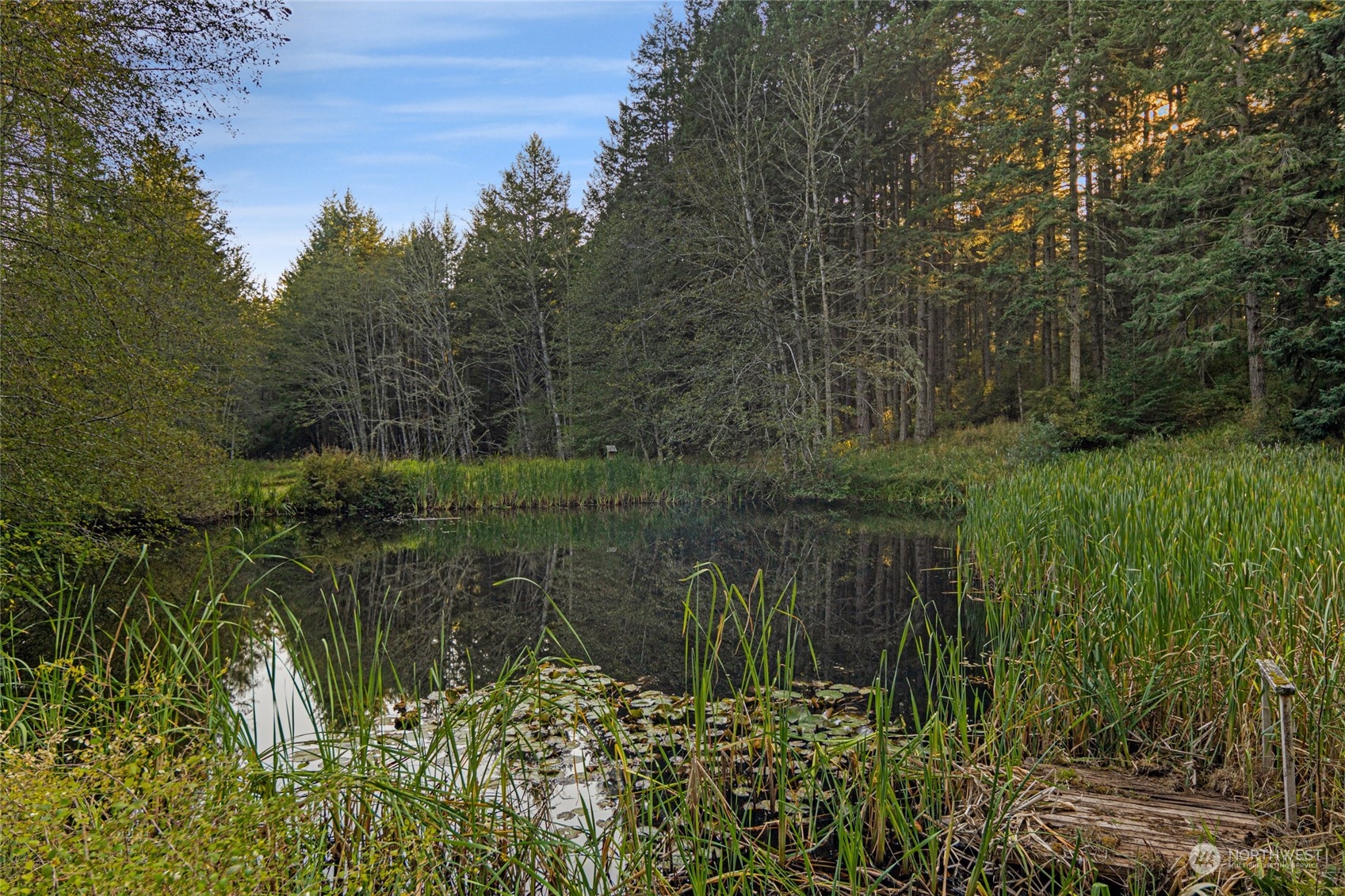 1057 Prohaska Road Friday Harbor, WA 98250 - Photo 20 of 40 Gallery Image 20