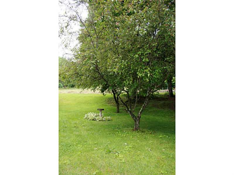 910 Geyer Road Pittsburgh, PA 15209 - Photo 4 of 20 Land/Lot. Full grown trees, Large lot with room enough for an oversized garden.