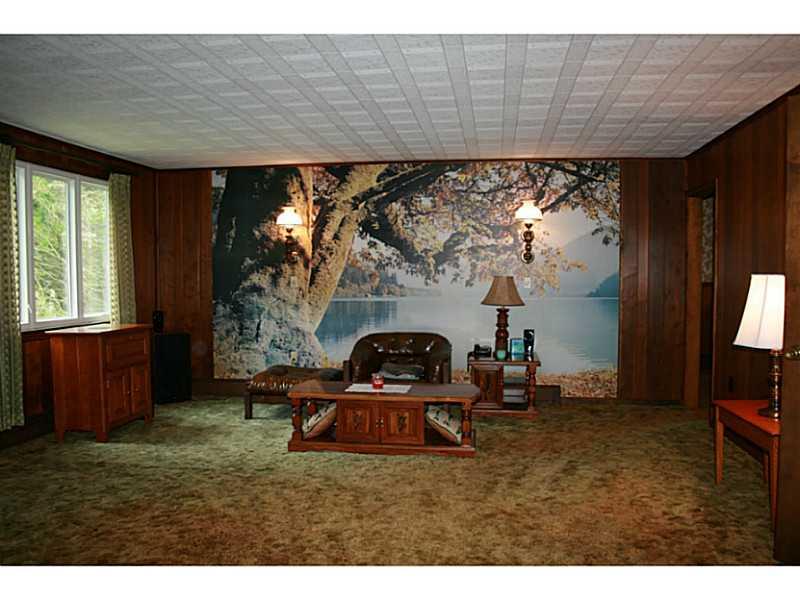 910 Geyer Road Pittsburgh, PA 15209 - Photo 8 of 20 Living Room. Wow 20 x 17 living room with wood burning fireplace and 2 front windows.