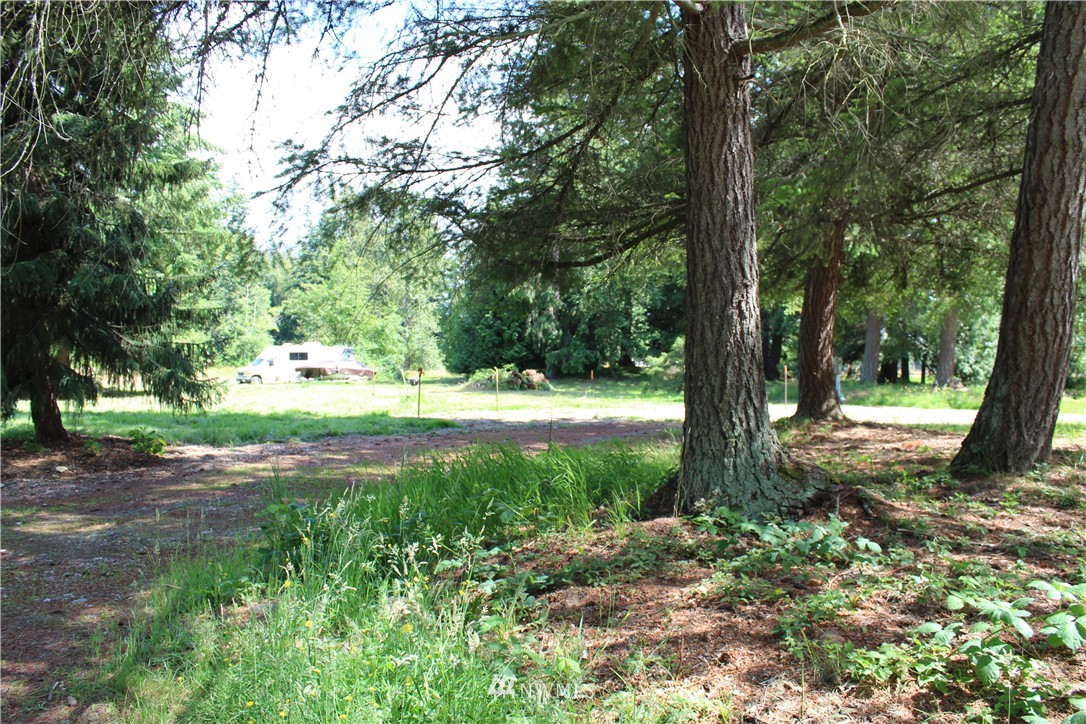 4974 Patton Road Bellingham, WA 98226 - Photo 11 of 13 Gallery Image 11