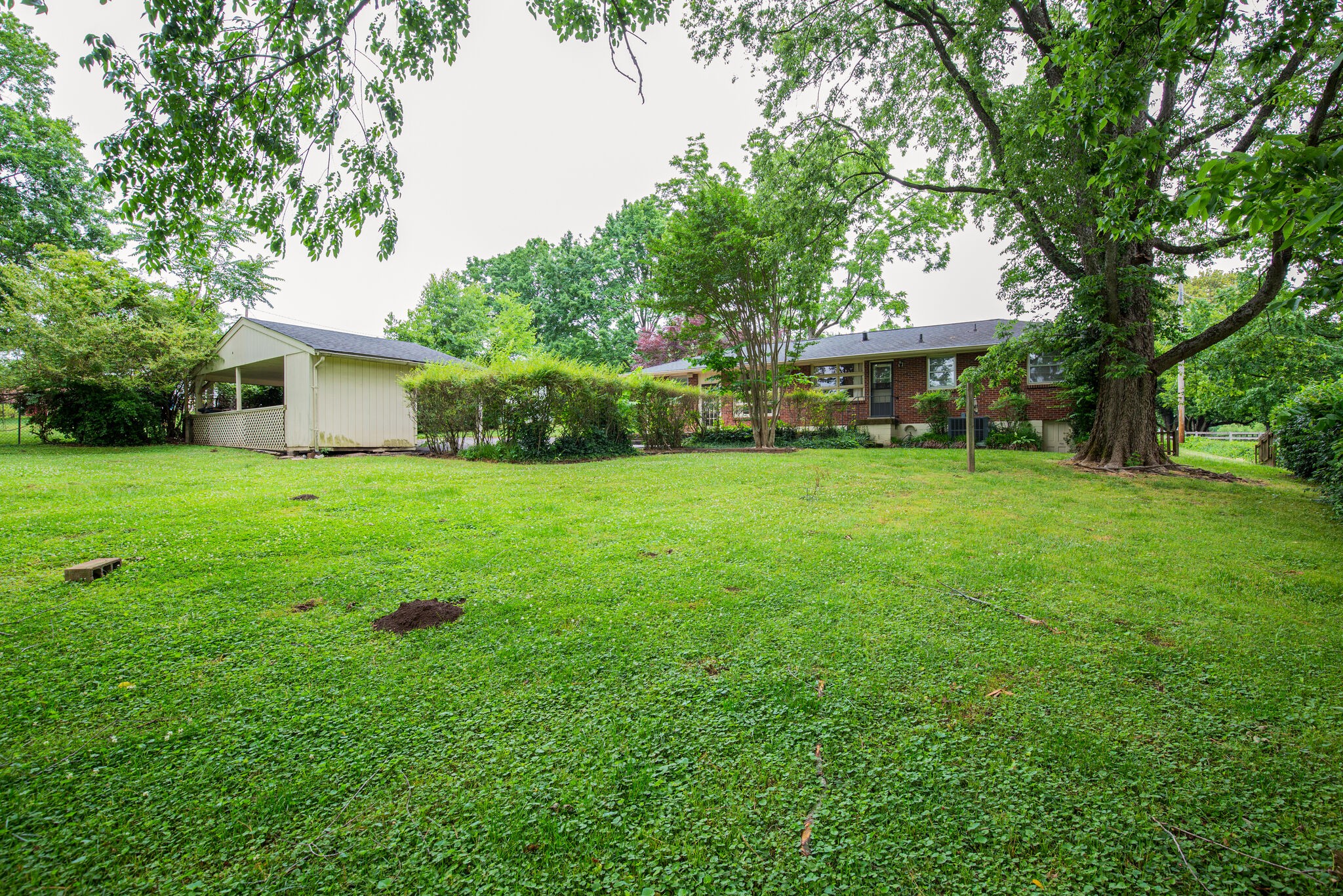 619 Crieve Road Nashville, TN 37220 - Photo 24 of 24 Gallery Image 24