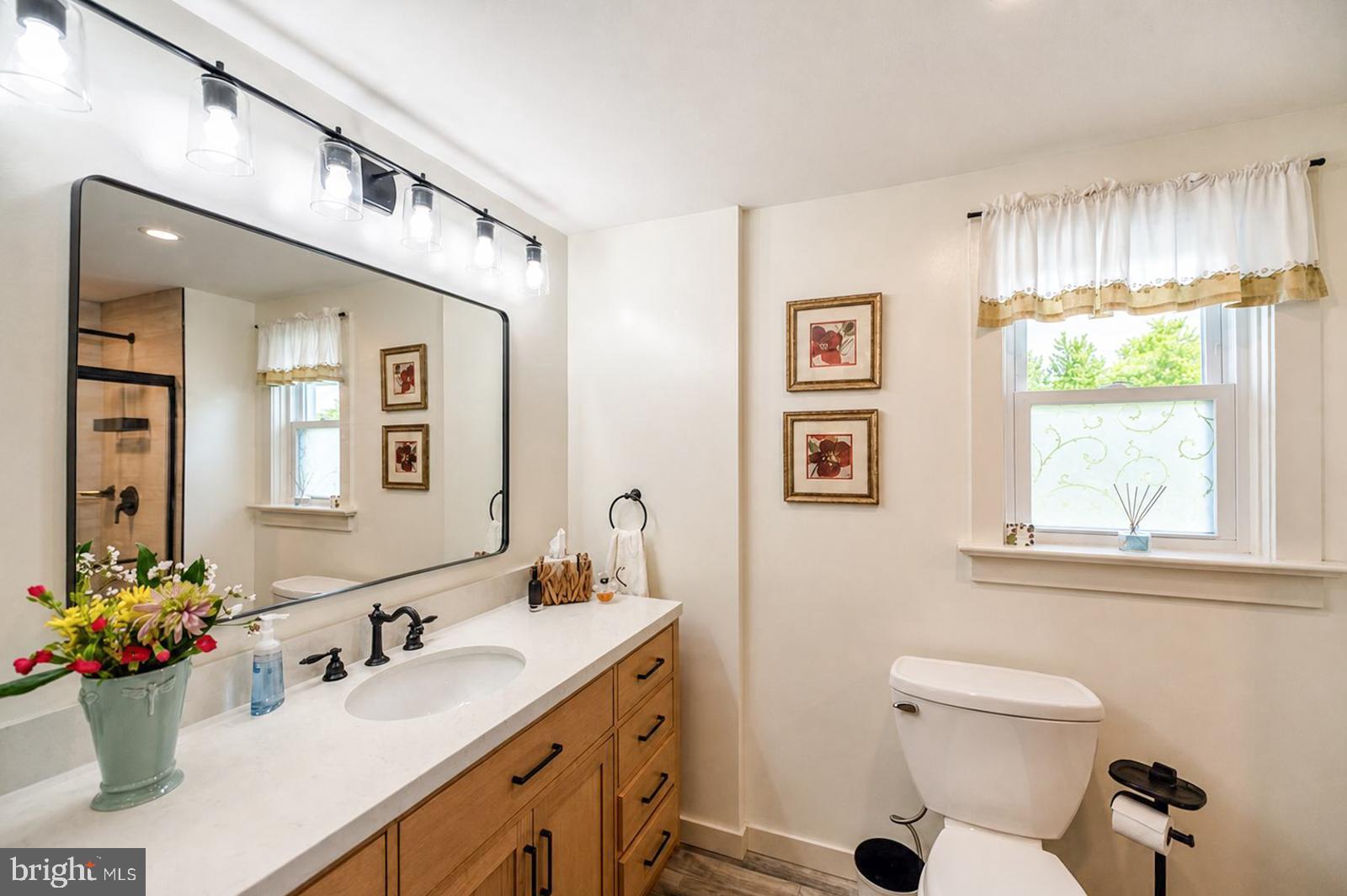 222 Blue School Road Perkasie, PA 18944 - Photo 47 of 77 a bathroom with a sink mirror and window