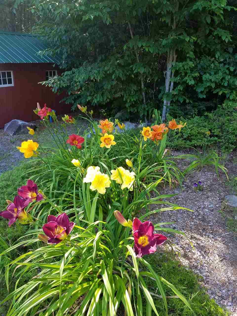 427 Peacham Pond Road Marshfield, VT 05658 - Photo 33 of 35 Gallery Image 33