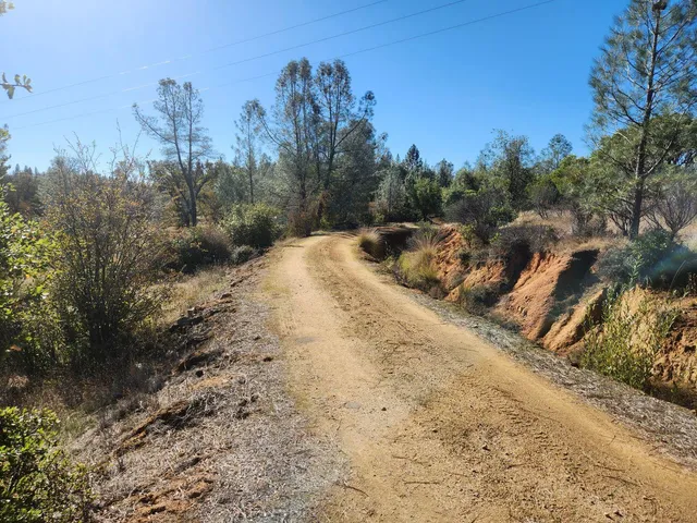 a view of a dry yard with trees in the background