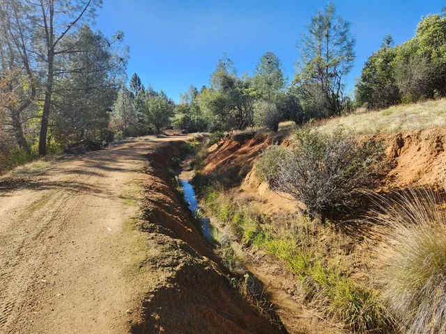 a view of a yard with trees