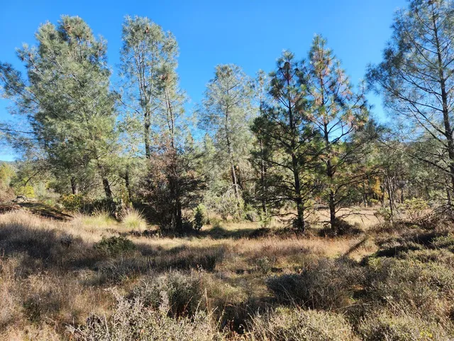 a view of mountain view with lots of trees around