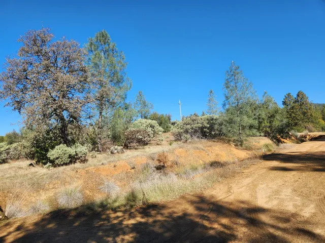 a view of a yard with trees
