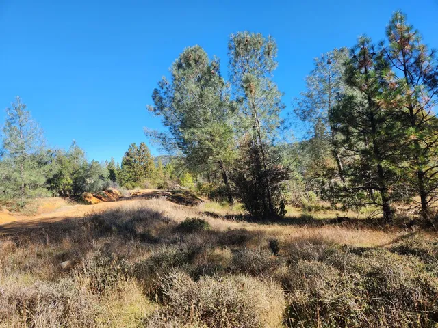 a view of a covered with trees in the background