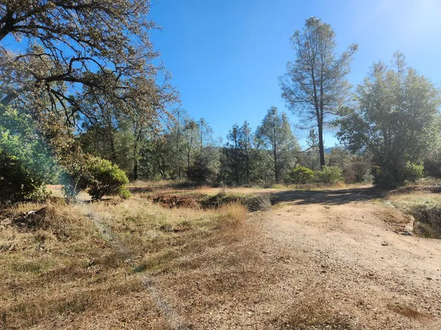 a view of lake view with large trees