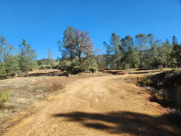 a view of a yard with a tree