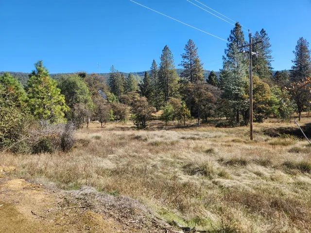 a view of outdoor space with trees all around