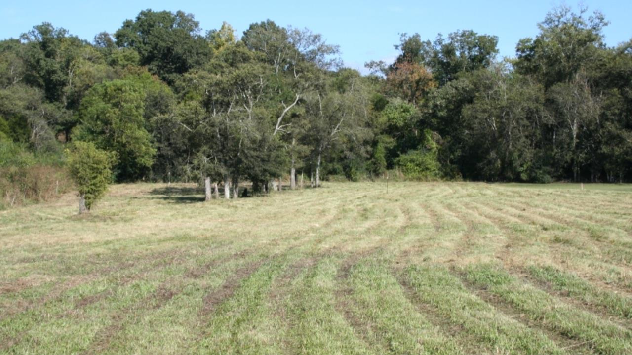 1024 Rock Springs Road Bethpage, TN 37022 - Photo 1 of 3 Gallery Image 1
