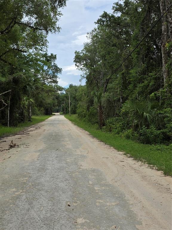 0 Pointview Road Brooksville, FL 34601 - Photo 5 of 6 a view of a field with trees in background