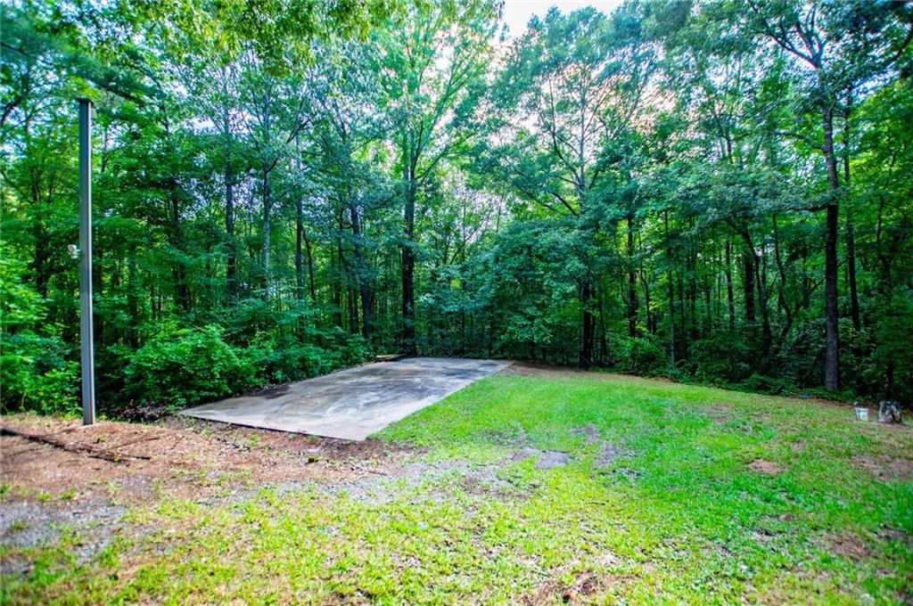 8291 Highway 5 Winston, GA 30187 - Photo 56 of 62