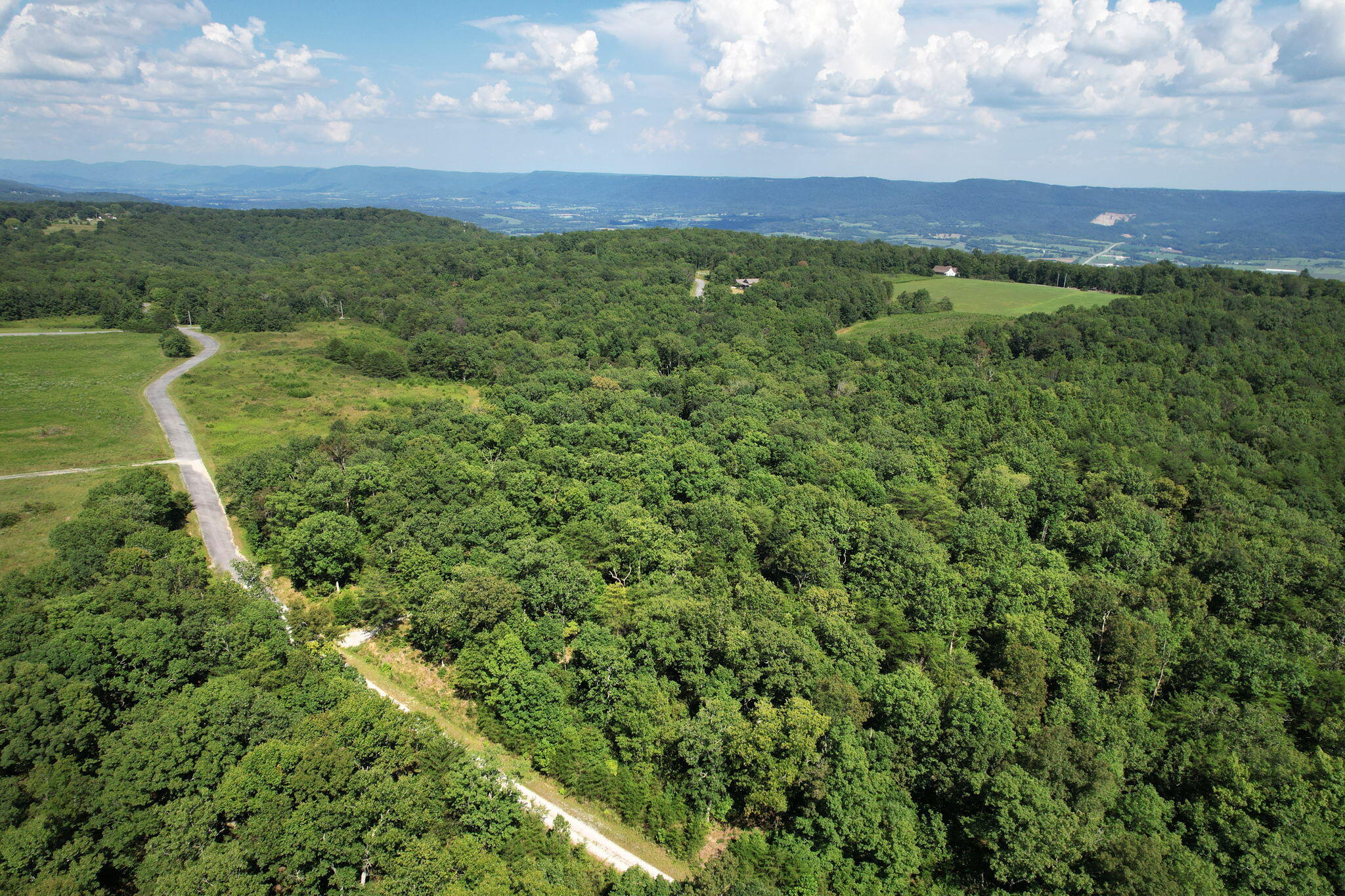 0 Big Bluff View Road Pikeville, TN 37367 - Photo 3 of 12 3-web-or-mls-DJI_0021