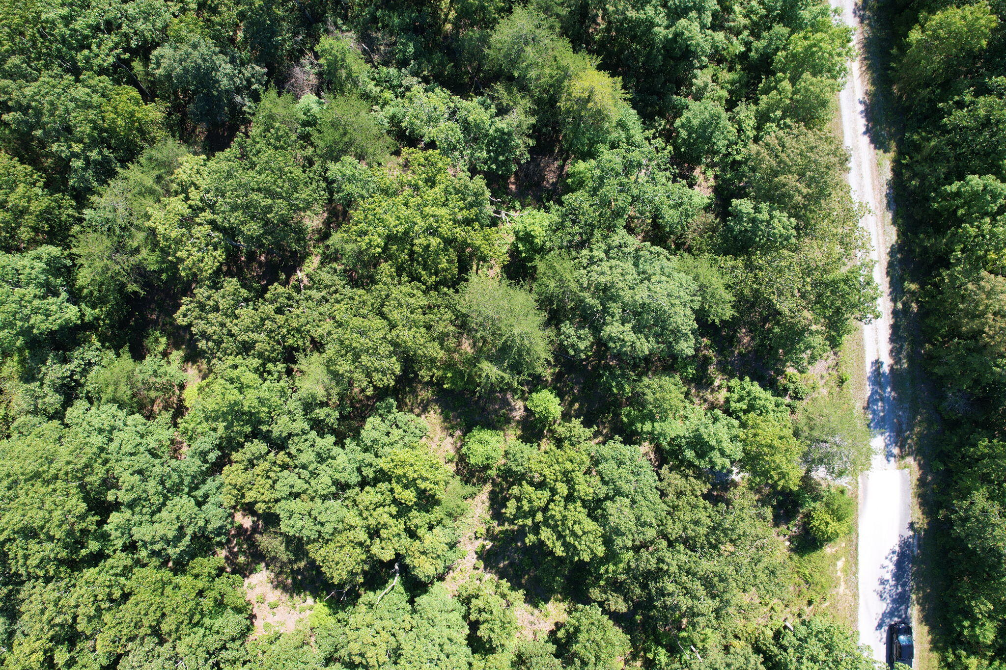 0 Big Bluff View Road Pikeville, TN 37367 - Photo 5 of 12 5-web-or-mls-DJI_0019