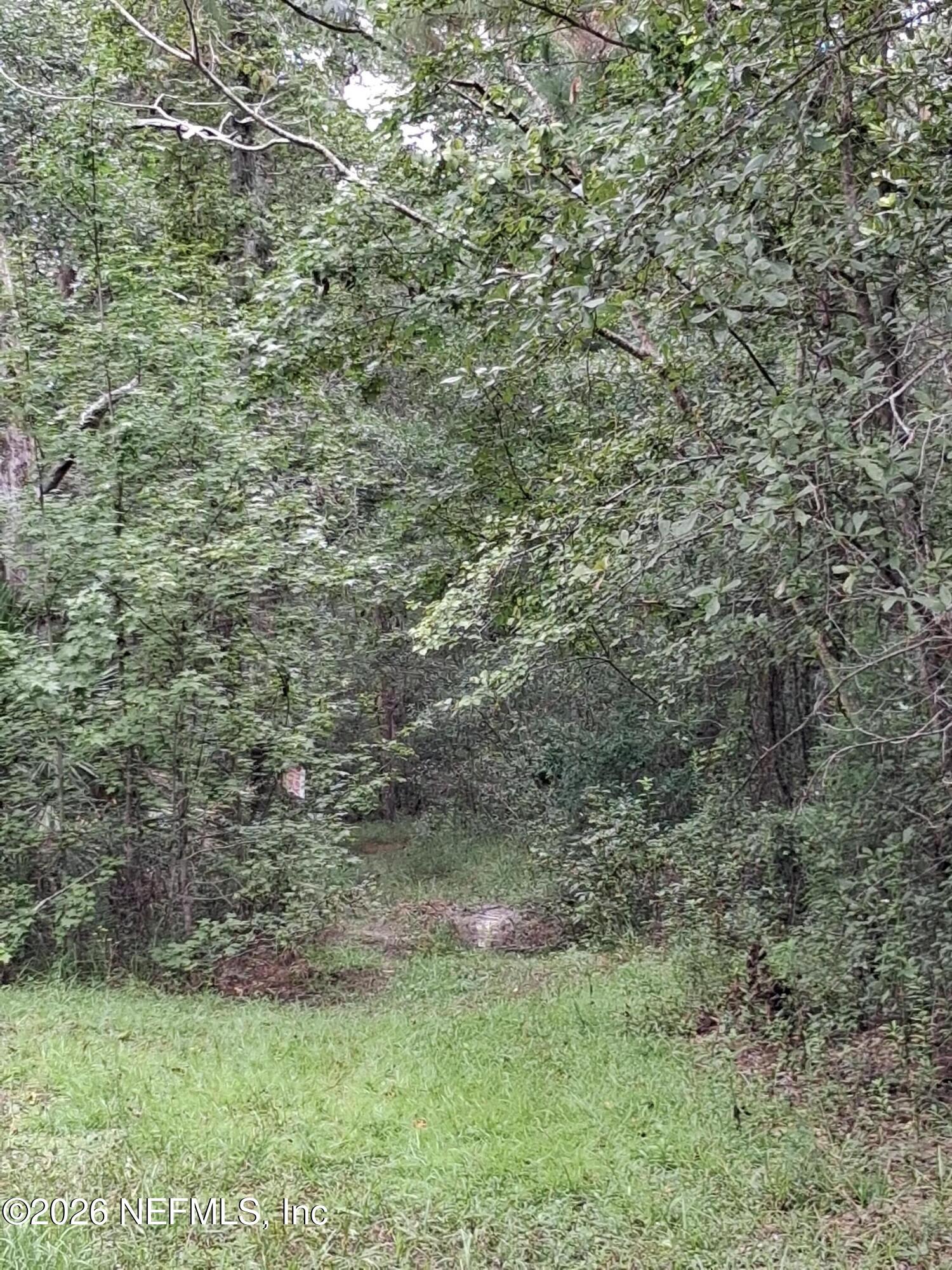Skipper Rd (6)