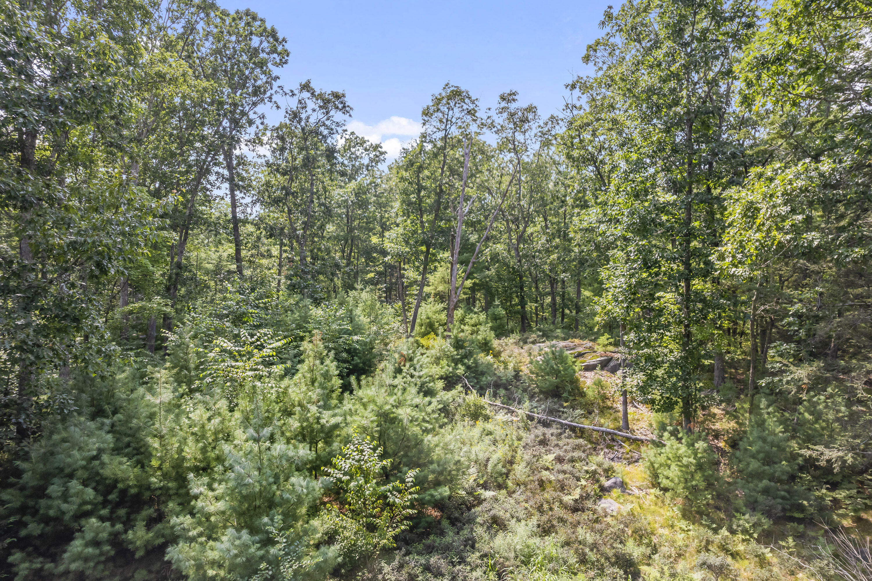 74 Witchtrot Road, Unit LOT 1 York, ME 03909 - Photo 5 of 14 74 Wichtrot Rd, York