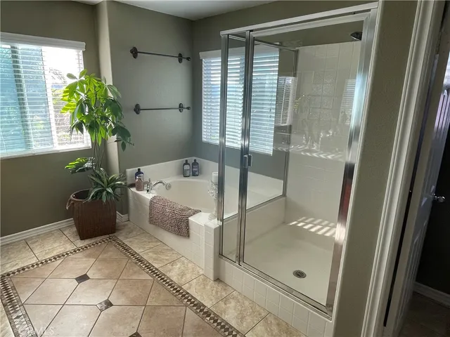 a bathroom with a tub shower and a potted plant