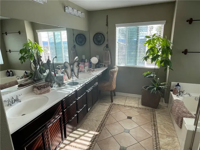 a bathroom with a sink a potted plant and a window