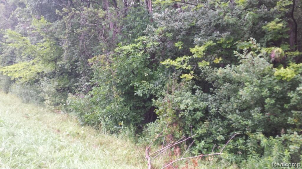 335 East Galbraith Line Road Melvin, MI 48454 - Photo 3 of 6
