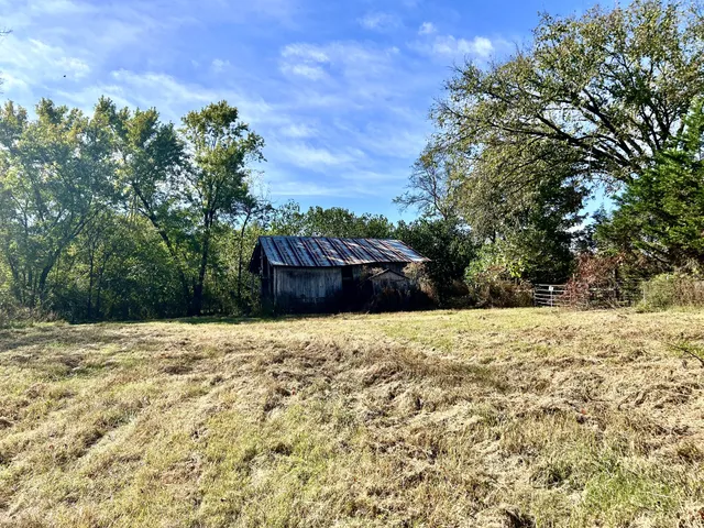 a street view with large trees