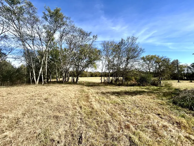 a view of a yard with trees