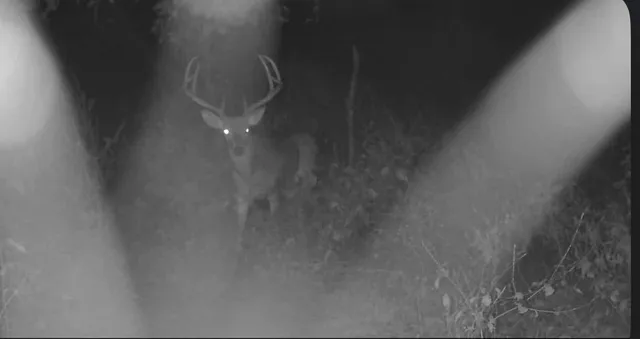 $179,000 | 11 West W Highway, Pulaski, TN 38478