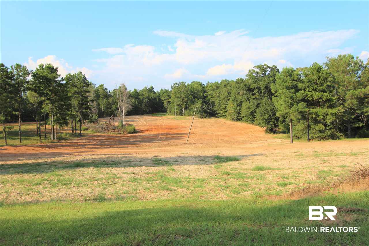 794 Dry Lake Road Luverne, AL 36049 - Photo 4 of 48 Dove Field