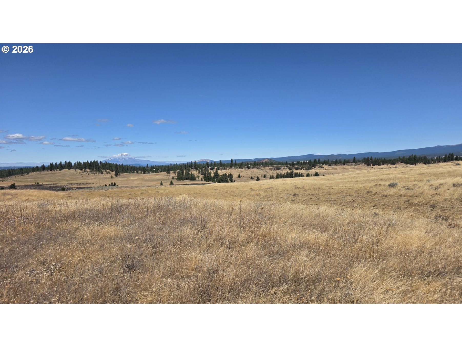Olson Road, Unit 3 Centerville, WA 98613 - Photo 8 of 31 Gallery Image 8