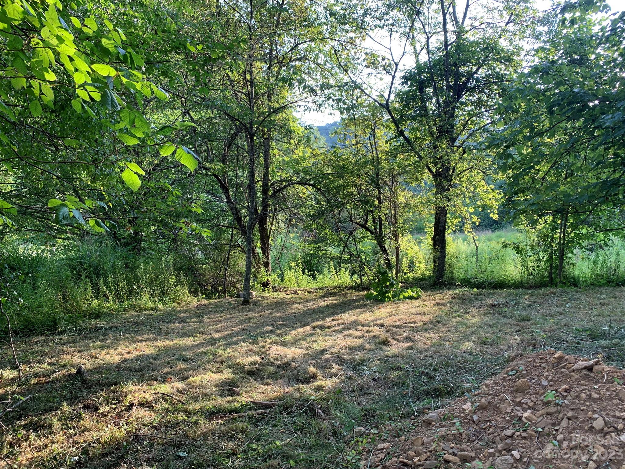 25 Black Crow Road Burnsville, NC 28714 - Photo 2 of 17 a view of outdoor space with trees