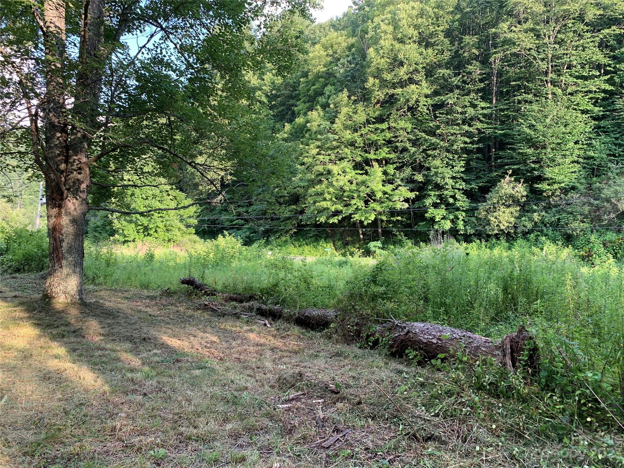 25 Black Crow Road Burnsville, NC 28714 - Photo 3 of 17 a view of a lush green forest