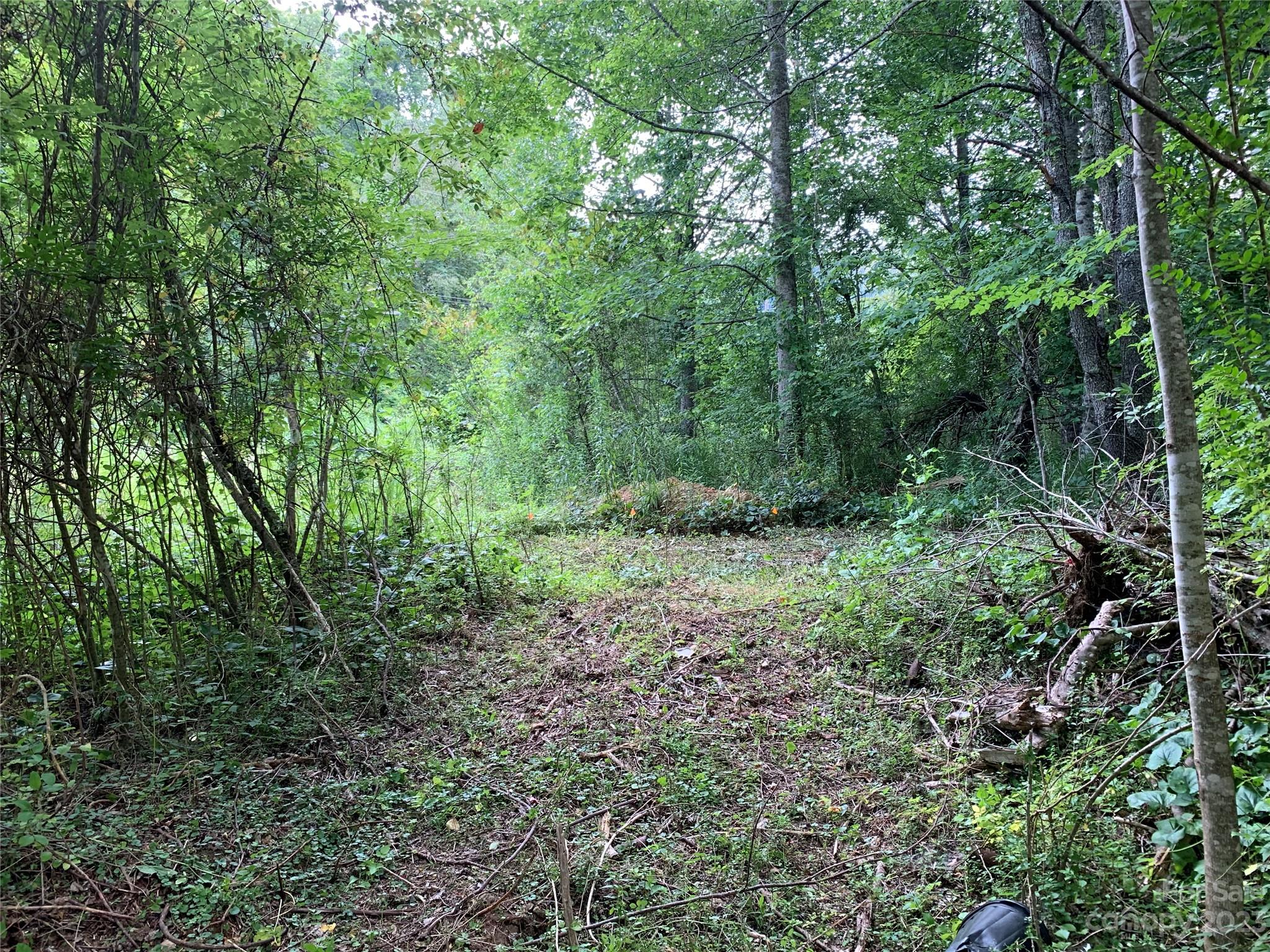25 Black Crow Road Burnsville, NC 28714 - Photo 7 of 17 a view of a lush green forest