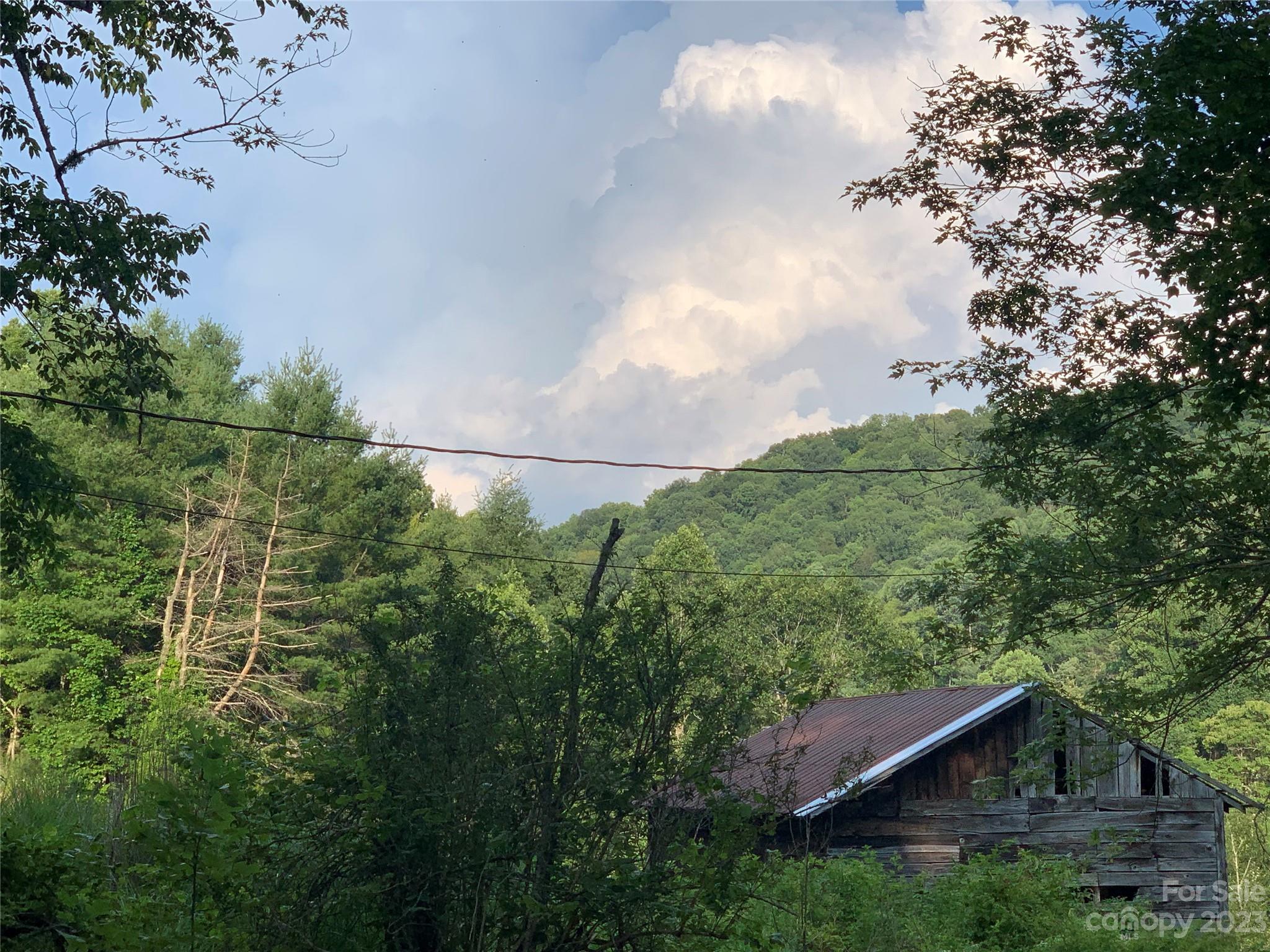 25 Black Crow Road Burnsville, NC 28714 - Photo 8 of 17 a backyard of a house with lots of green space