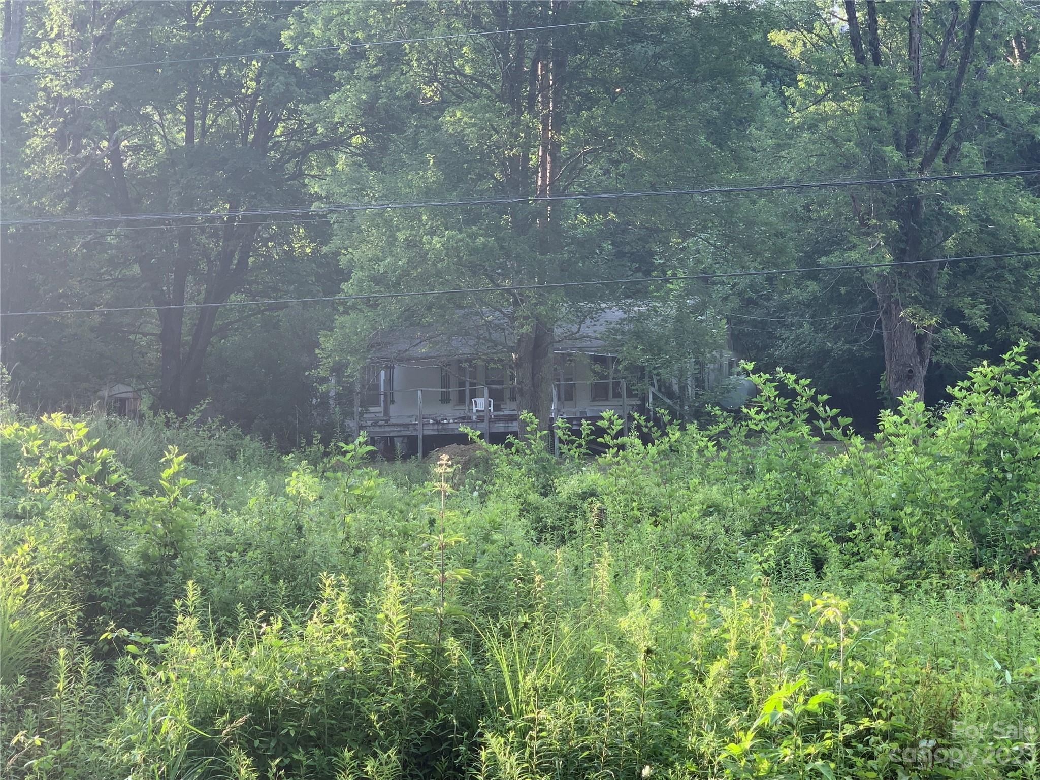 25 Black Crow Road Burnsville, NC 28714 - Photo 10 of 17 a view of a garden with a plants