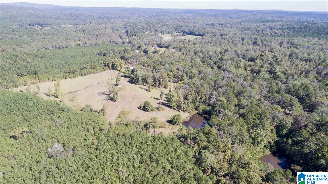 20505 Highway 55 Sterrett, AL 35147 - Photo 9 of 15