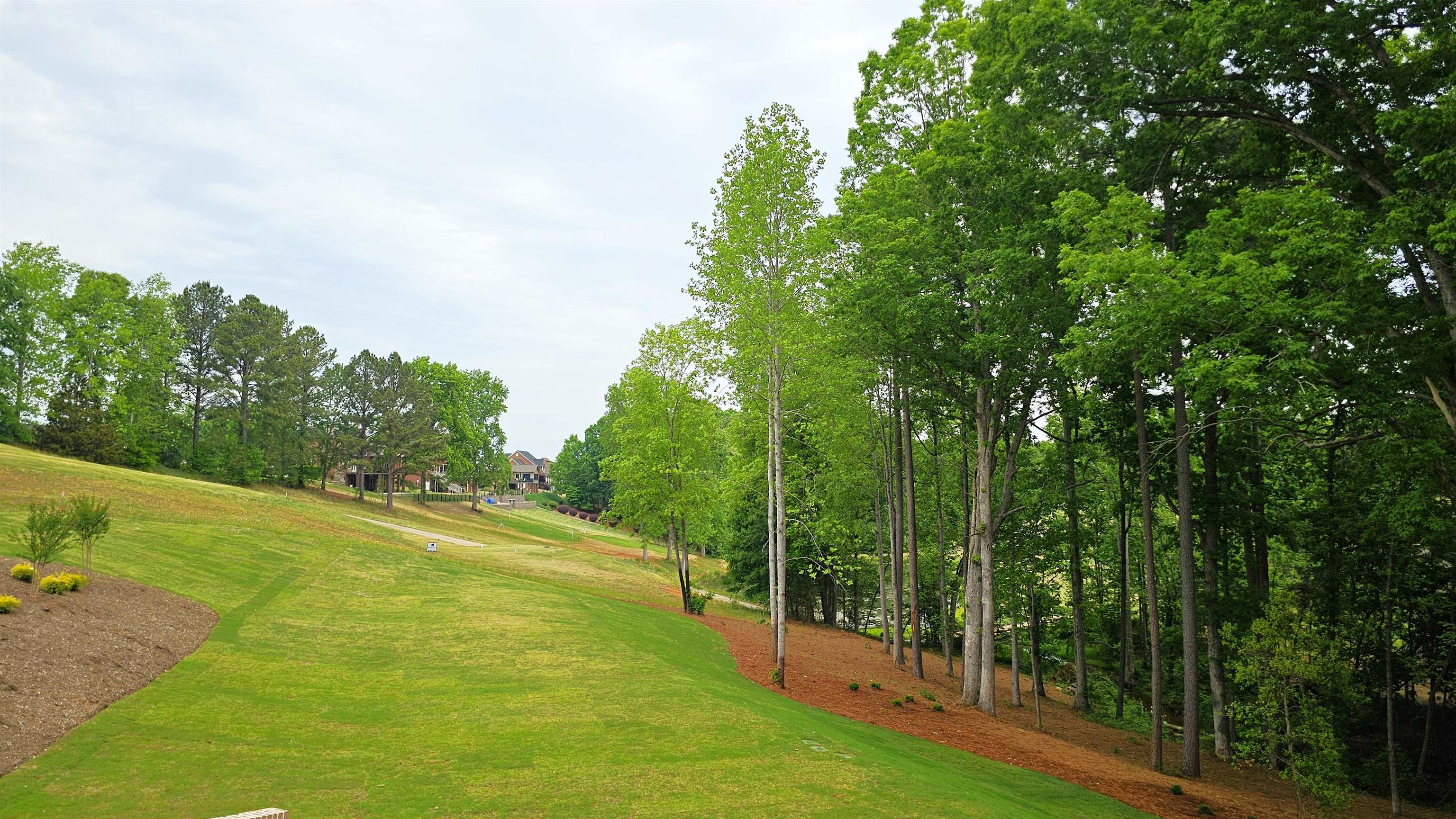 118 North Woodfin Ridge Drive Inman, SC 29349 - Photo 47 of 48