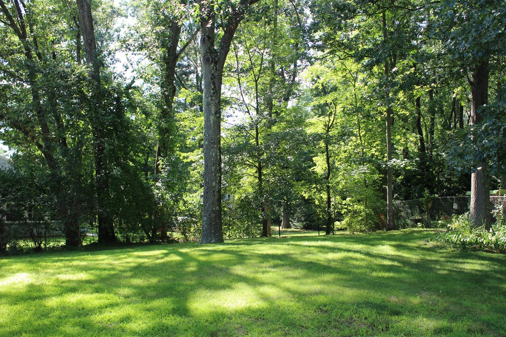 432 Wolf Swamp Road Longmeadow, MA 01106 - Photo 17 of 17 Gallery Image 17