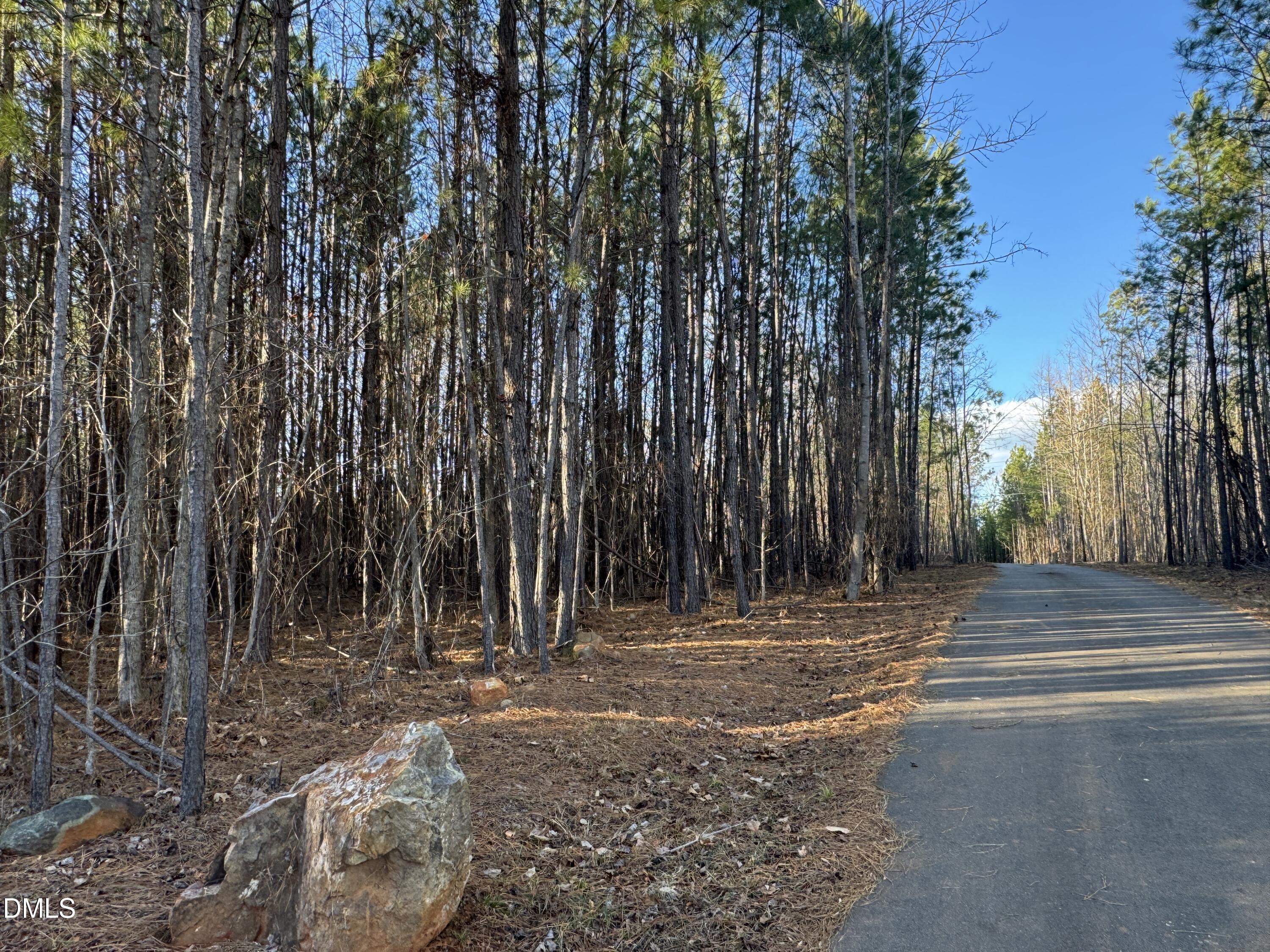 6740 St Marys Road Hillsborough, NC 27278 - Photo 5 of 26 a view of outdoor space with trees