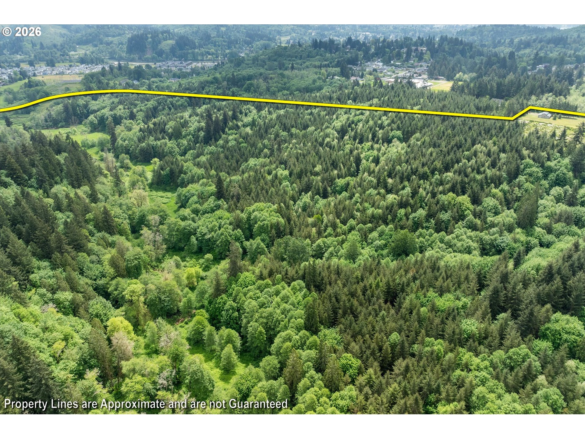 145 Talkeetna Heights Road Longview, WA 98632 - Photo 39 of 48 View