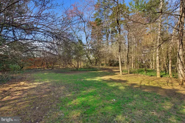 a view of a yard with trees