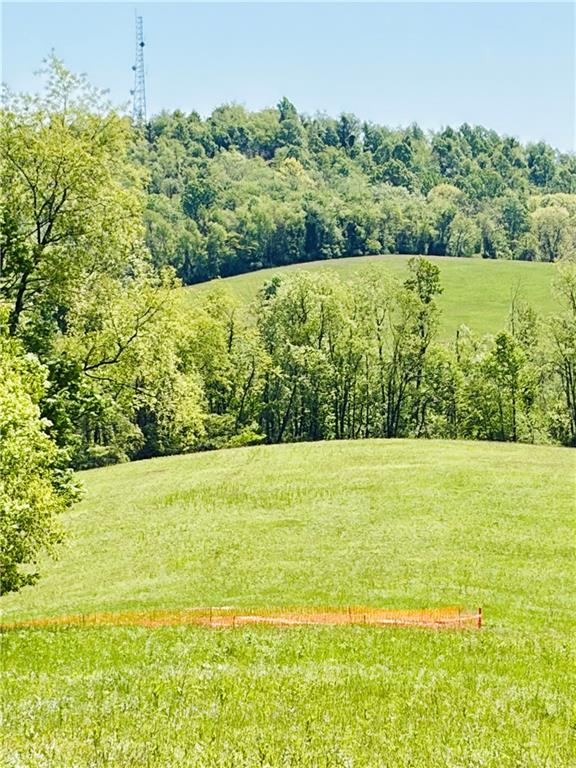 0 Lyons Road Claysville, PA 15323 - Photo 3 of 5