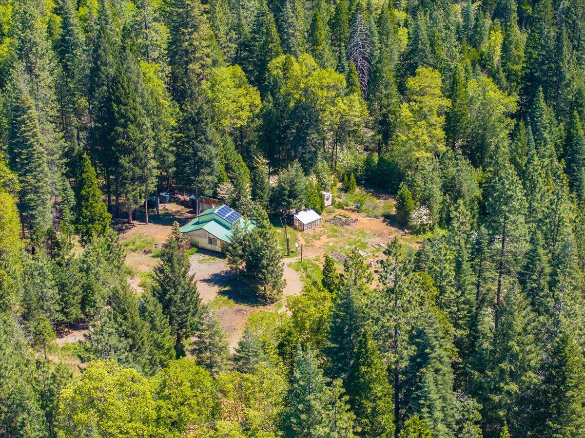 2004 Gus Hawk Road Big Bend, CA 96011 - Photo 53 of 57 095-Shot Gun Rd (95 of 107)